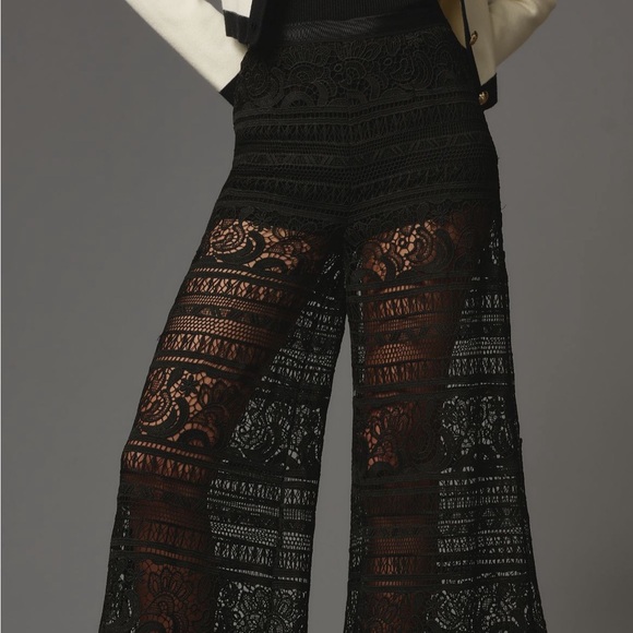 Anthropologie Wide Leg Sheer lace Trousers cover up pants - Picture 2 of 13